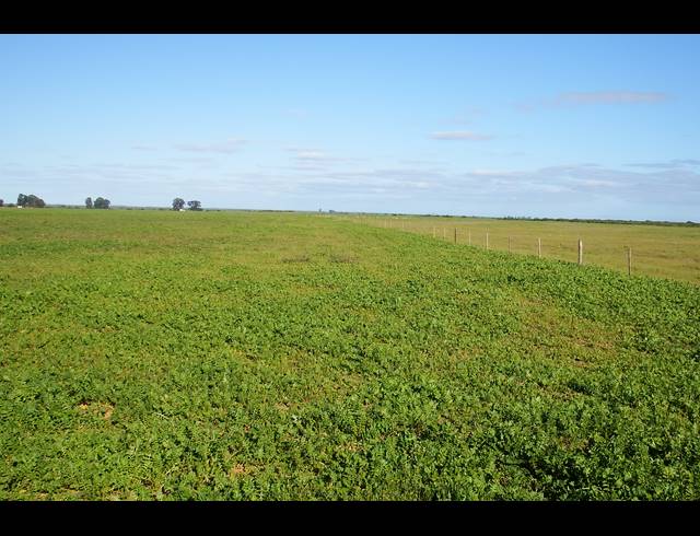 603HA FARM FOR SALE IN HOPEFIELD RURAL